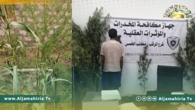 ضبط ليبي يقوم بزراعة المارجوانا في حديقة منزله
