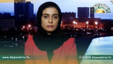 وهيبة: المنفي ركز في لقاءاته بنيويورك على ملف الانتخابات