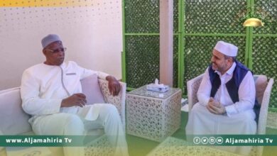 متجاهلا الأوضاع في ليبيا.. المشري يبحث مع باتيلي الأزمات التي تعاني منها إفريقيا