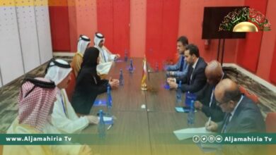 النويري: الأزمة الليبية خلافات سياسية داخلية وتدخلات خارجية تفاقم الأزمة