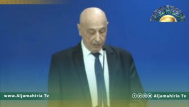 عقيلة صالح: اتفقت مع المشري على تغيير المناصب السيادية وتوحيد السلطة التنفيذية