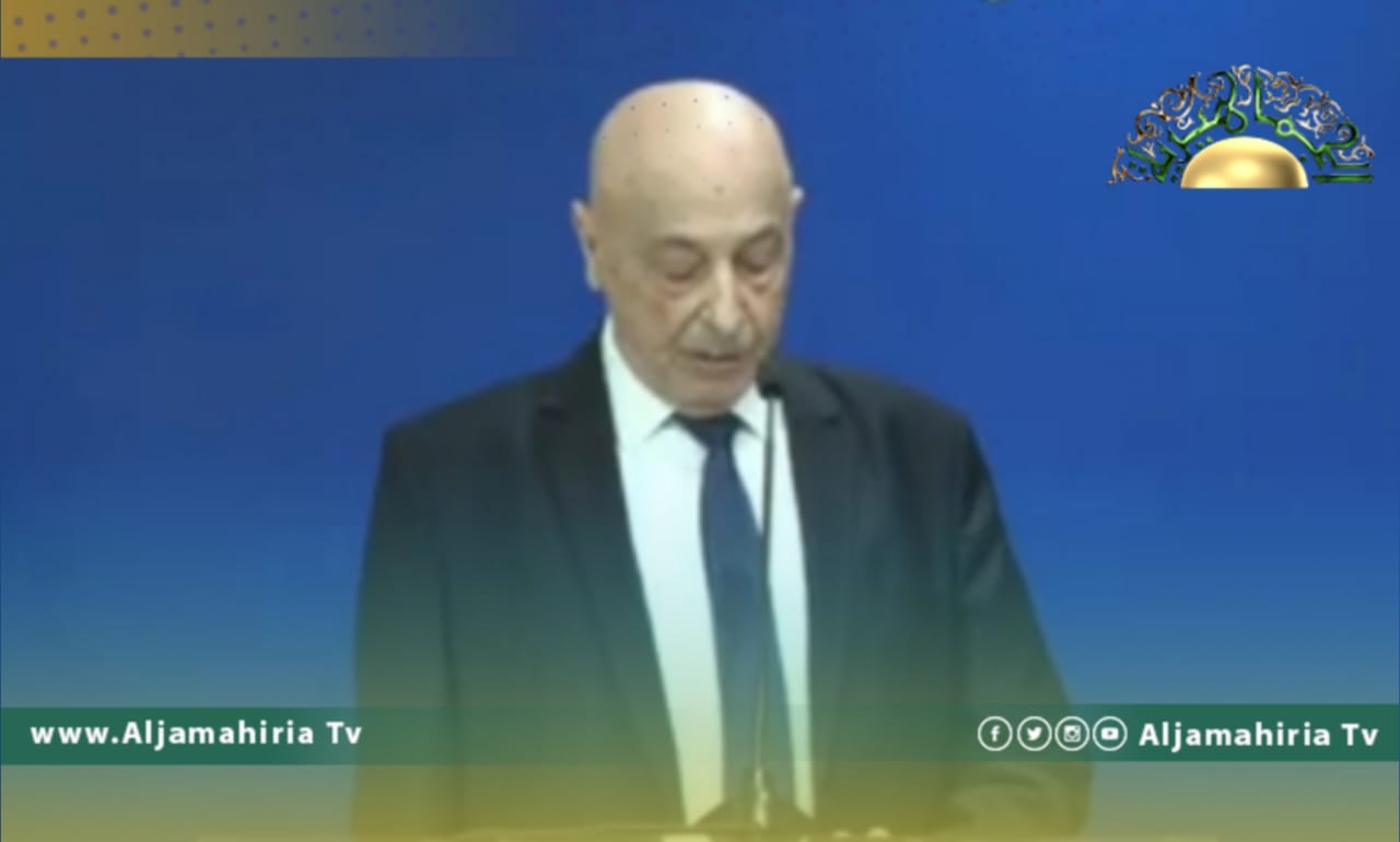 عقيلة صالح: اتفقت مع المشري على تغيير المناصب السيادية وتوحيد السلطة التنفيذية