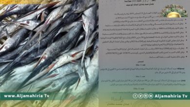 الثروة البحرية: أسماك أبوسيف تتعرض لعمليات صيد جائر رغم أنه موسم التكاثر