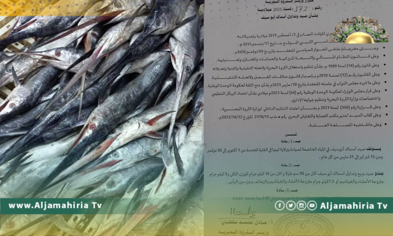 الثروة البحرية: أسماك أبوسيف تتعرض لعمليات صيد جائر رغم أنه موسم التكاثر