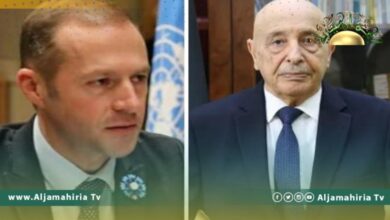 سولير يشدد على ضرورة استكمال القاعدة الدستورية لإجراء الانتخابات خلال اتصال مع عقيلة صالح