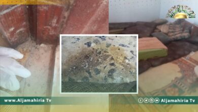 بلدية حي الأندلس تعلن انتشار حشرة البق في بعض المساجد