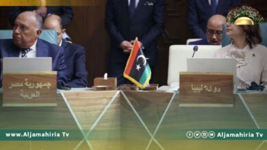 الخارجية المصرية: توافقنا في اجتماعات الجزائر على ما يتسق مع موقفنا بشأن ليبيا