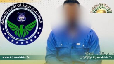 القبض على تشكيل عصابي سوري ومصري يمتهن الخطف والابتزاز في وادي الربيع