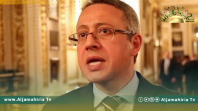 أيمن سيف النصر