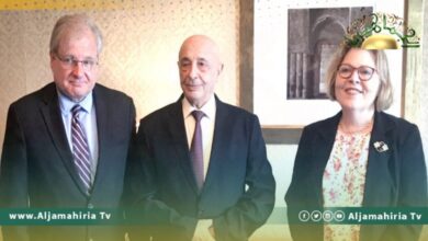 عقيلة صالح ونورلاند يبحثان التوافق حول القاعدة الدستورية اللازمة للانتخابات