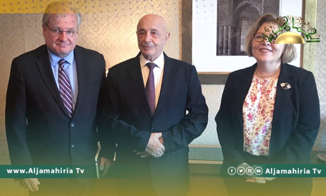 نورلاند: ناقشت مع صالح القاعدة الدستورية للانتخابات