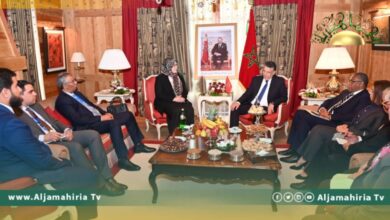 حليمة إبراهيم: حكومة الوحدة جادة في إجراء الانتخابات البرلمانية والرئاسية