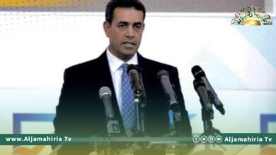 عماد السايح