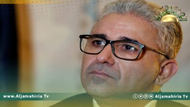 باشاغا يدعو للتعاون من أجل التوعية ضد العنف الذي يستهدف النساء