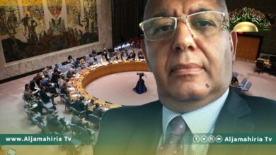 محلل اقتصادي يكشف ألغاما اقتصادية يتضمنها قرار مجلس الأمن الأخير