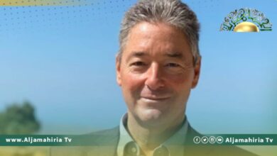 السفير الألماني