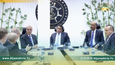 المنفي يناقش مع نورلاند مستجدات الأوضاع بالبلاد وجهود إنجاح الاستحقاق الانتخابي