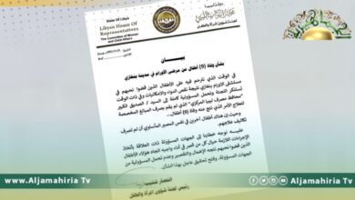 لجنة المرأة والطفل بمجلس النواب: وفاة 9 أطفال مصابين بالأورام في بنغازي مسؤولية الكبير