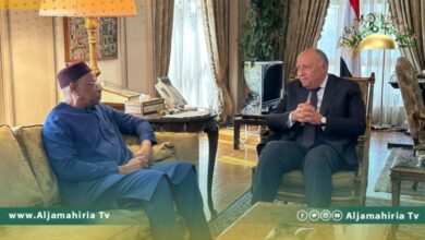 باتيلي يتفق مع شكري على إنهاء الأزمة وفتح السبيل أمام الانتخابات