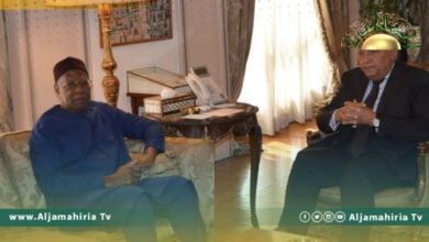 مصر تشدد على أهمية المسار الدستوري وضرورة عقد الانتخابات الرئاسية والتشريعية بليبيا