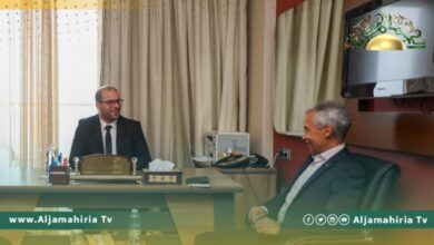 مجلس الدولة الإخواني يبحث مع السفير الفرنسي تطورات ملف القاعدة الدستورية