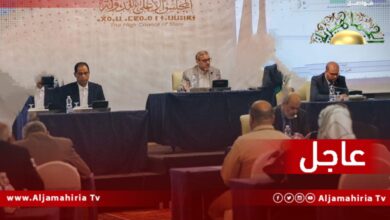 مجلس الدولة