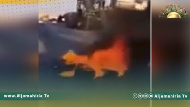 سيدة تقوم بإغلاق الطريق في غريان لهذا السبب!!