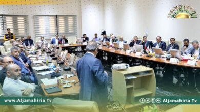 أبو جناح يؤكد أهمية التنسيق والعمل المشترك وصياغة خطة لرفع مستوى الرعاية الصحية