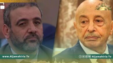 تسجيل صوتي مسرب يكشف تفاصيل تقاسم المناصب بين عقيلة صالح وخالد المشري