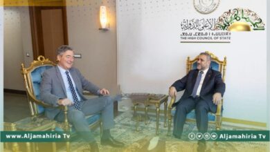 المشري يبحث مع السفير الألماني آلية اختيار سلطة قادرة على إجراء الانتخابات