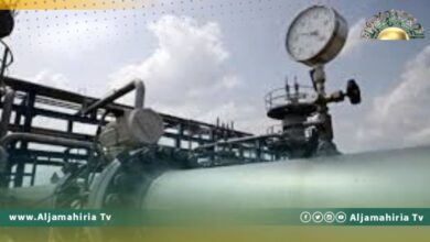 مصادر إعلامية: متظاهرون يقتحمون مجمع مليتة النفطي ويغلقون خط الغاز المؤدي لإيطاليا