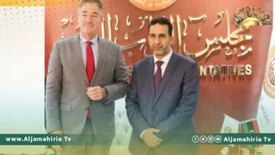 النويري يناقش مع السفير الألماني سبل معالجة القضايا العالقة للوصول إلى الانتخابات