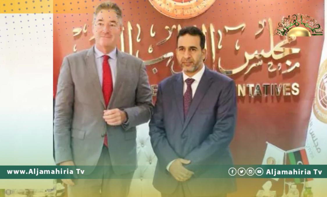 النويري يناقش مع السفير الألماني سبل معالجة القضايا العالقة للوصول إلى الانتخابات