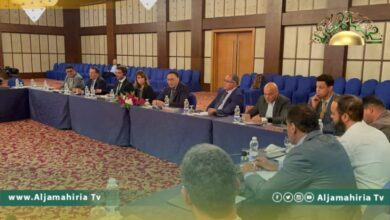 الحويج يؤكد أهمية التنوع الاقتصادي وتجارة العبور والمناطق الحرة