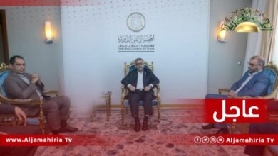 مجلس الدولة الإخواني