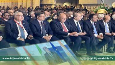 وزير الخارجية الإيطالي يؤكد ضرورة تقديم مساهمة ملموسة لليبيا