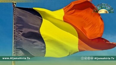 تتباهى بماضيها الاستعماري الوحشي.. بلجيكا تعرض جماجم بشرية لأفارقة للبيع بمزاد علني