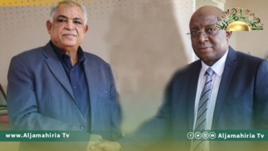 حسين القطراني يبحث مع وزير الإعلام الصومالي سبل تعزيز التعاون بين البلدين