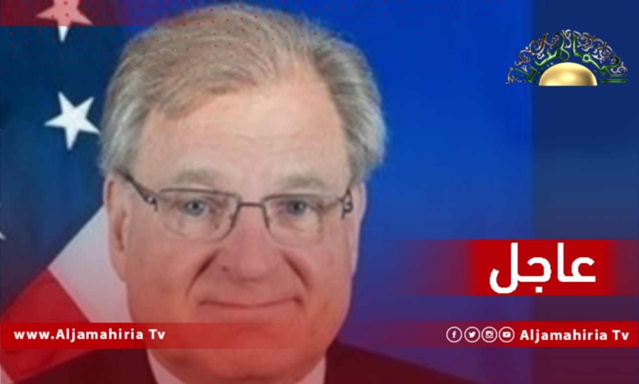 السفير الأمريكي نورلاند