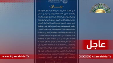 بيان وزارة الخارجية