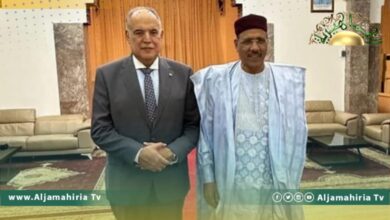 بوشناف يبحث مع رئيس النيجر مبادرة تأسيس مجلس للأمن القومي بدول "س ص"