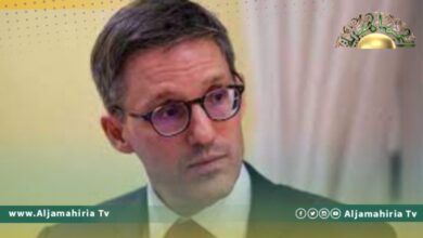 ديريك شوليت