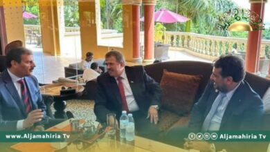 وزير الكهرباء بالمرتقبة يبحث فرص التعاون مع مصر في مجال الطاقة وخطوط النقل