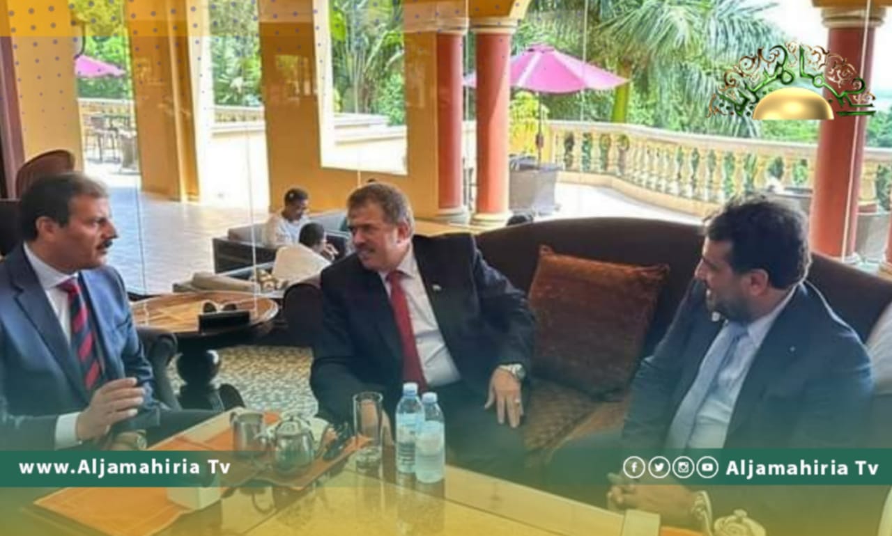 وزير الكهرباء بالمرتقبة يبحث فرص التعاون مع مصر في مجال الطاقة وخطوط النقل