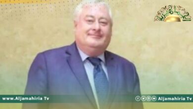 سفير النمسا