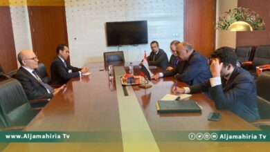 وزيرا خارجية مصر وتونس يؤكدان الوفاق بشأن دعم المسار السياسي للوصل للانتخابات الليبية