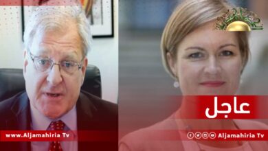 نورلاند والسفيرة البريطانية