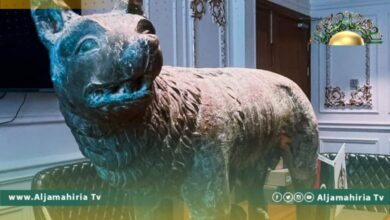 جهاز دعم الاستقرار يتمكن من استعادة "الذئبة كابيتولينا" المفقودة منذ سنة 1963