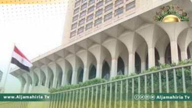 وزارة الخارجية المصرية