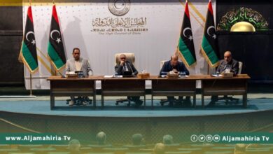 مجلس الدولة الإخواني يستكمل المناقشات حول التعديل الـ 13 للإعلان الدستوري.. غدا